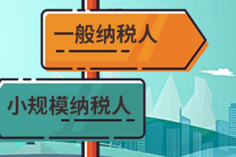拉薩一般納稅人做賬報(bào)稅代理費(fèi)用為什么高于小規(guī)模納稅人？