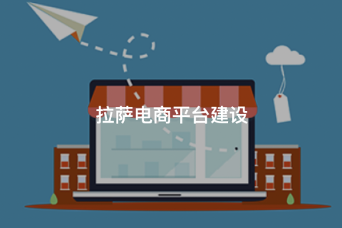 拉薩商城開發(fā)怎么做？主流拉薩商城網(wǎng)站搭建方式對(duì)比